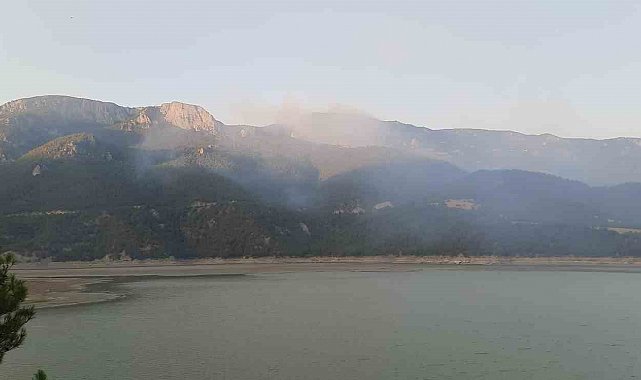 Sinop'taki orman yangınına havadan ve karadan müdahale sürüyor