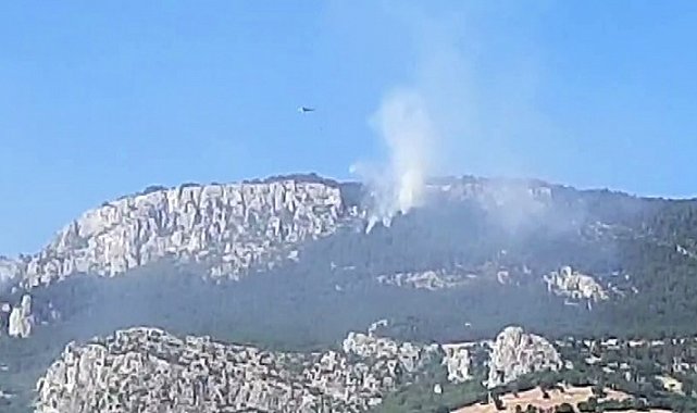 Sinop'taki orman yangınında soğutma çalışmaları devam ediyor