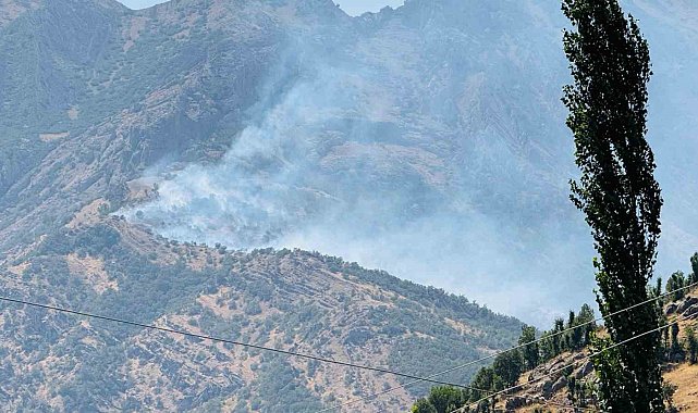 Şırnak'taki orman yangını 9 saatte kontrol altına alındı