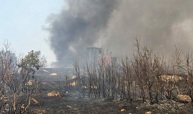 Şırnak'taki örtü yangını 7 saatte söndürüldü