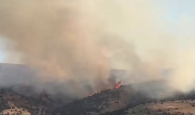 Sivas'ta çıkan örtü yangınına müdahale sürüyor