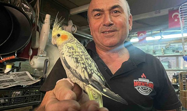 Soba ve mangal ustası Mustafa Göktürk'ün kuş sevgisi