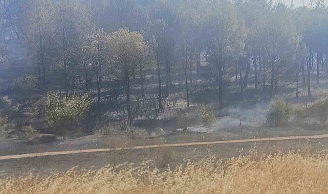 Soma yangınında bir mahalle boşaltındı, bir kişi de gözaltına alındı