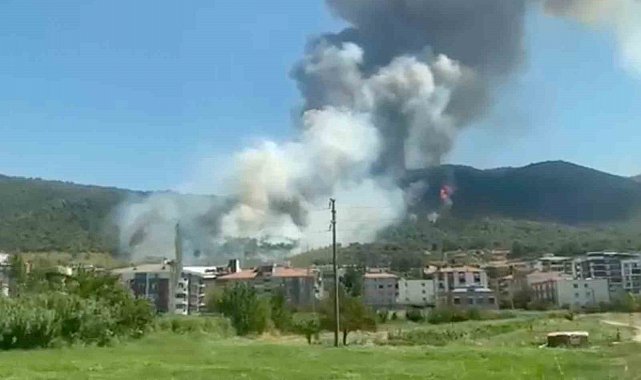 Soma'da orman yangını