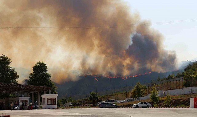 Suriye'deki yangın Türkiye'ye sıçradı