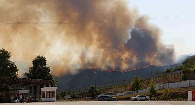Suriye'deki yangın Türkiye'ye sıçradı