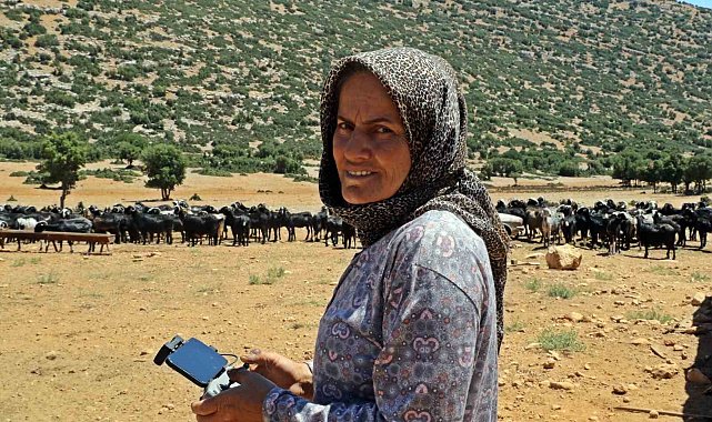 Sürüsüne dadanan kurtlar, çoban kadını dron pilotu yaptı