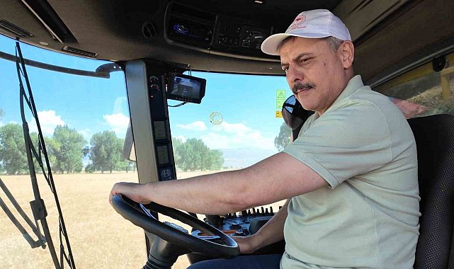 Tarım Lisesi'nde buğday hasadı