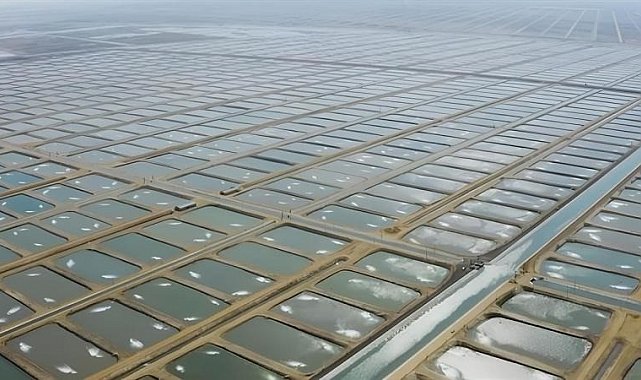 Tarıma Dayalı İhtisas Su Ürünleri Organize Sanayi Bölgesinde ön talep süreci başladı