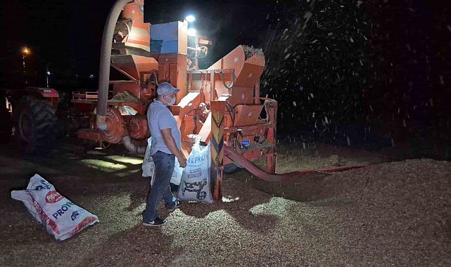 Tarlada fındık nöbeti