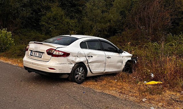 Tarlaya uçan otomobildeki 5 kişi yaralandı