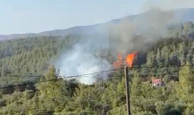 Tavas'ın ciğerlerini ateşe veren kundakçılardan akıl almaz tuzak