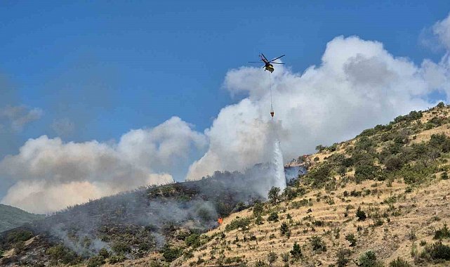 Tekirdağ Şarköy'de makilik alanda çıkan yangına müdahale ediliyor