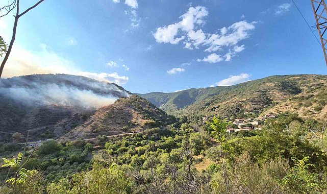 Tekirdağ'da alevler Uçmakdere'ye yaklaşıyor: Vatandaşlar da müdahaleye katıldı