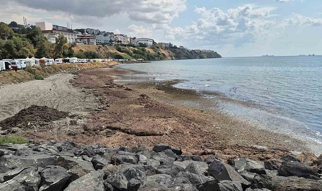 Tekirdağ'da deniz adeta kara toprak parçasına dönüştü
