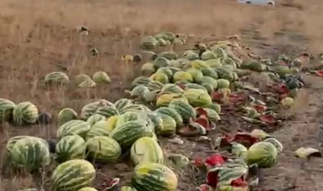 Tekirdağ'da israf tepkisi: Karpuzlar yola saçıldı