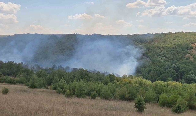 Tekirdağ'da orman yangını