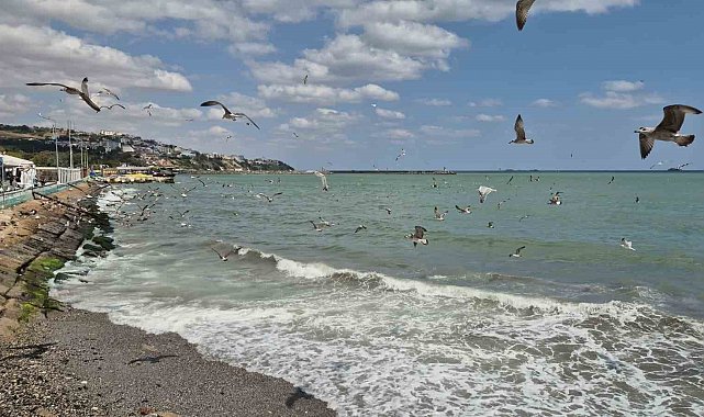 Tekirdağ'da poyraz deniz ulaşımını aksattı