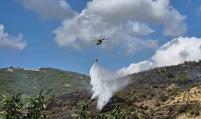 Tekirdağ'daki makilik yangını kontrol altına alındı