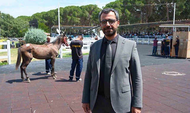 TİGEM tay satışı ve koşulardan bu yıl 500 milyon lira gelir bekliyor