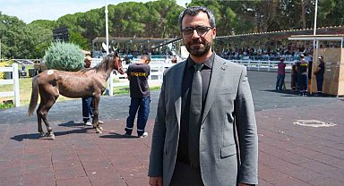 TİGEM tay satışı ve koşulardan bu yıl 500 milyon lira gelir bekliyor