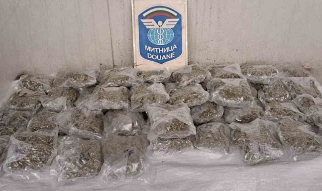 Tüp gaza saklanan esrarı yurda sokacaklardı