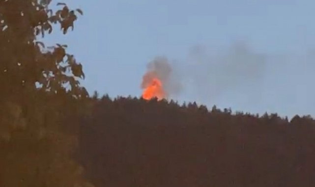 Türbede çıkan yangın ormana sıçradı