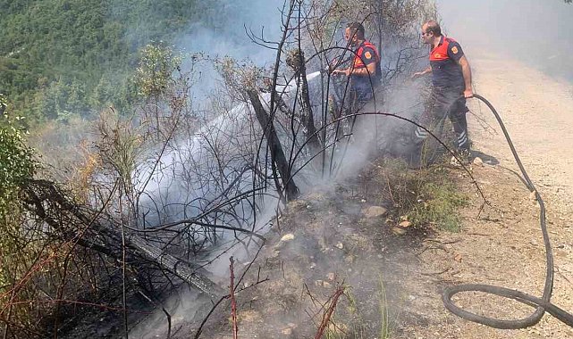 Türkeli'de ormanlık alanda yangın paniği