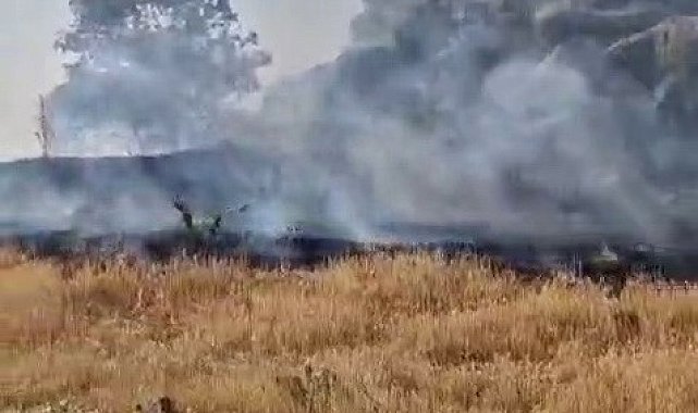 Tut ilçesinde örtü yangını