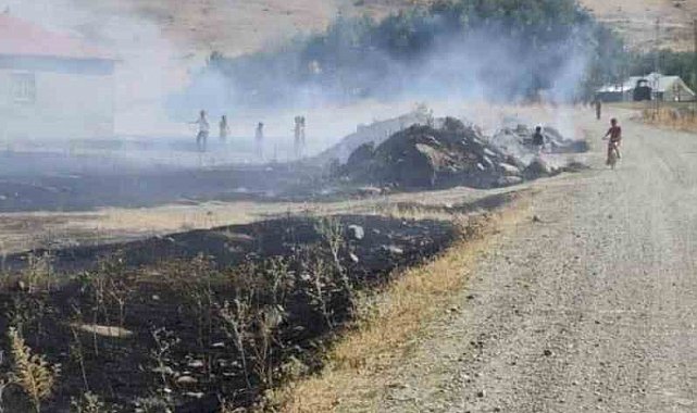 Tutak'ta mera yangını korkuya neden oldu