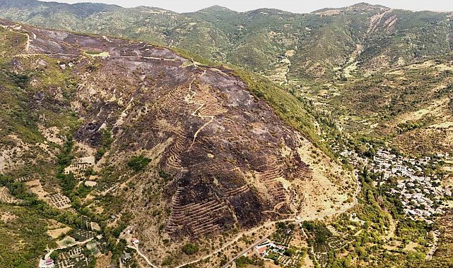 Uçmakdere'de yanan alanlar havadan görüntülendi