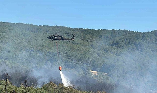 Uşak'ta orman yangınına havadan ve karadan müdahale ediliyor