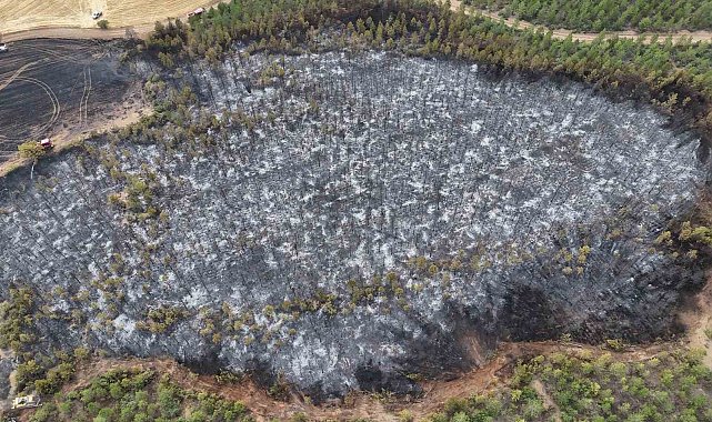 Uşak'ta ormanlık alana sıçrayan yangın söndürüldü