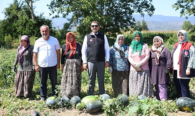 Vali Aslan, uygulama tarlasında incelemelerde bulundu