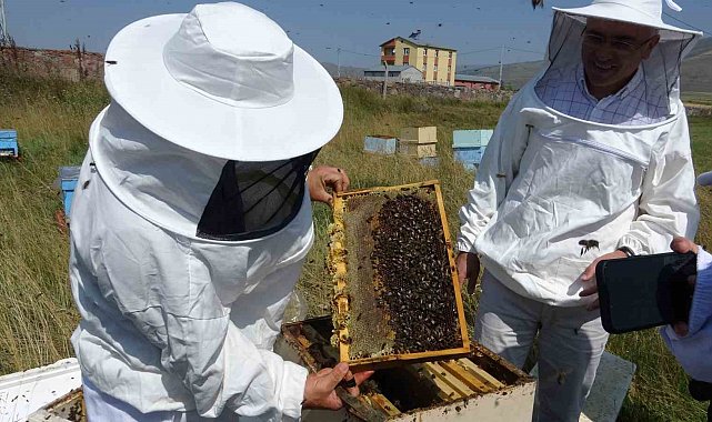 Vali Çiçek, ilk bal sağımını gerçekleştirdi