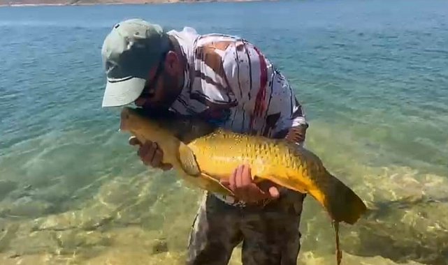 Yakaladığı 15 kiloluk sazanı tekrar suya bıraktı