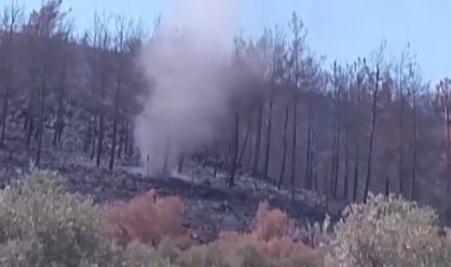 Yangının küle çevirdiği ormanlık alanda çıkan hortumlar kamerada