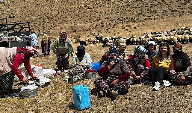 Yüksekova'da süt hijyeni eğitimi sürüyor