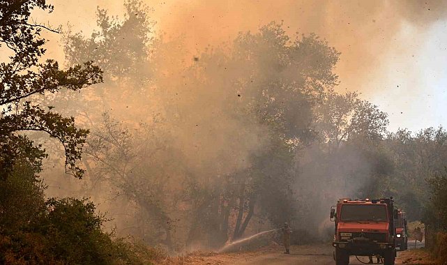 Yunanistan'da orman yangınları yerleşim yerine sıçradı