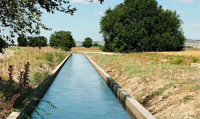 Yüreğir Ziraat Odası Başkanı Doğan: "Sulama ücretlerinin ertelenmesi gerekmektedir"