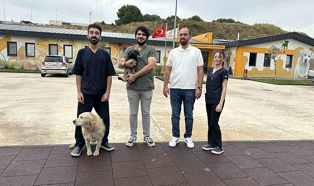 Zifte bulanan yavru köpek rehabilitasyon merkezinde yaşama tutundu