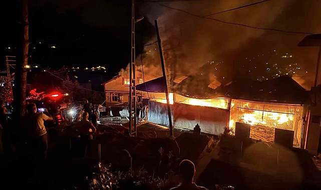 Zonguldak'ta alevler geceyi aydınlattı: 4 ev 1 yeri kullanılmaz hale geldi