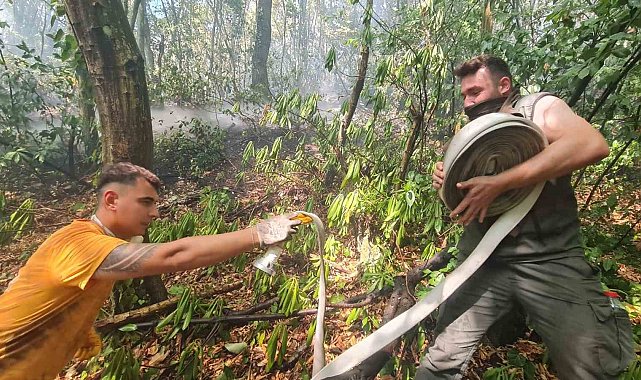 Zonguldak'taki orman yangını kontrol altına alındı