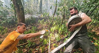 Zonguldak'taki orman yangını kontrol altına alındı
