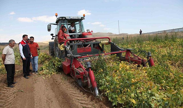 110 bin dekar alana ekilen kuru fasulyenin hasadına başlandı