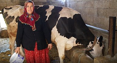 2 inekle başladı sıfır kilometre araç sahibi oldu