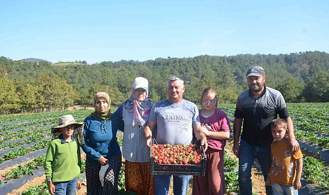 25 yıl yaptıkları işi yürütemediler, son çare olarak bunu buldular