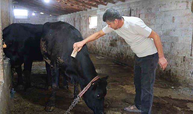 ' Kırsalda Bereket Hayvancılığa Destek' projesi ilk meyvesini verdi