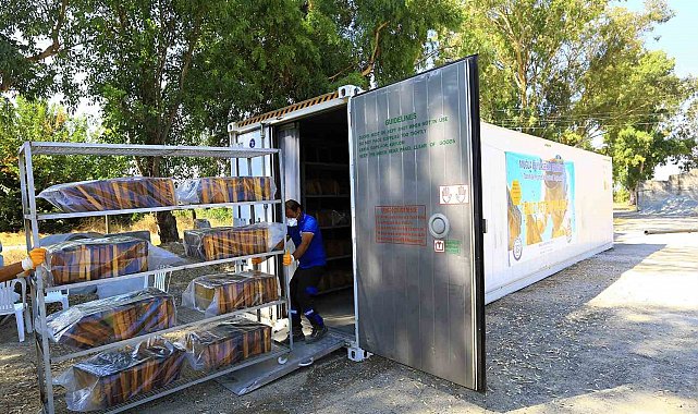 'Temiz Petek' projesi başladı