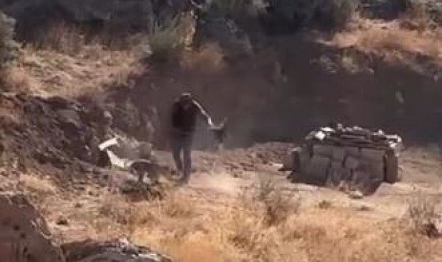 4 aylık köpeğe şiddet uygulayan şahıs gözaltına alındı